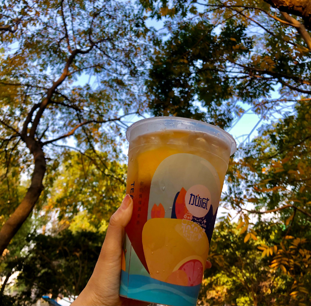尊龙在线