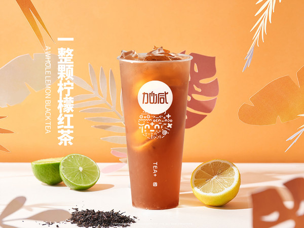 尊龙在线