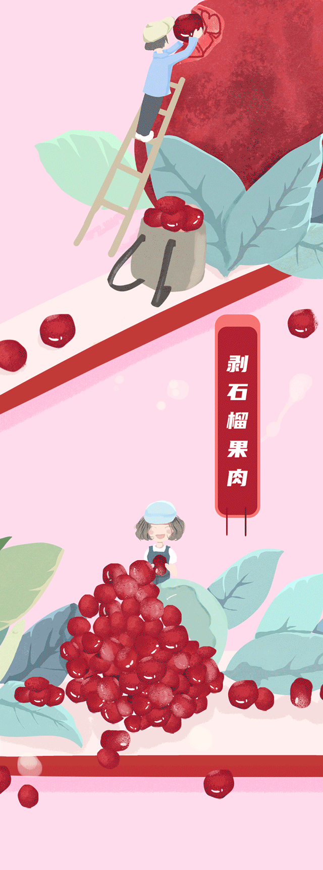 尊龙在线石榴新品